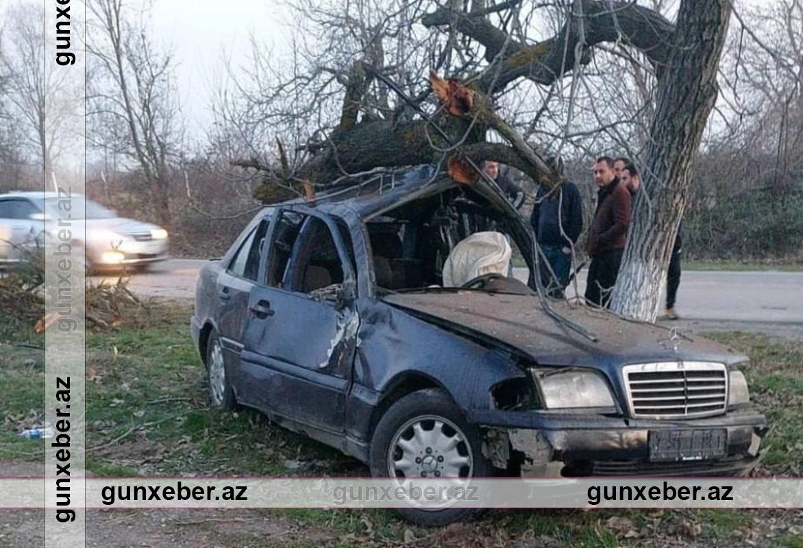 Xaçmazda avtomobil ağaca ÇIRPILDI: Ölən və yaralanan var