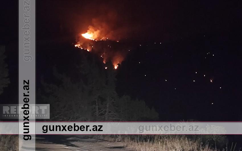 Laçında güclü yanğın keçmiş döyüş əməliyyatları aparılan əraziyə keçdi – Partlayış oldu