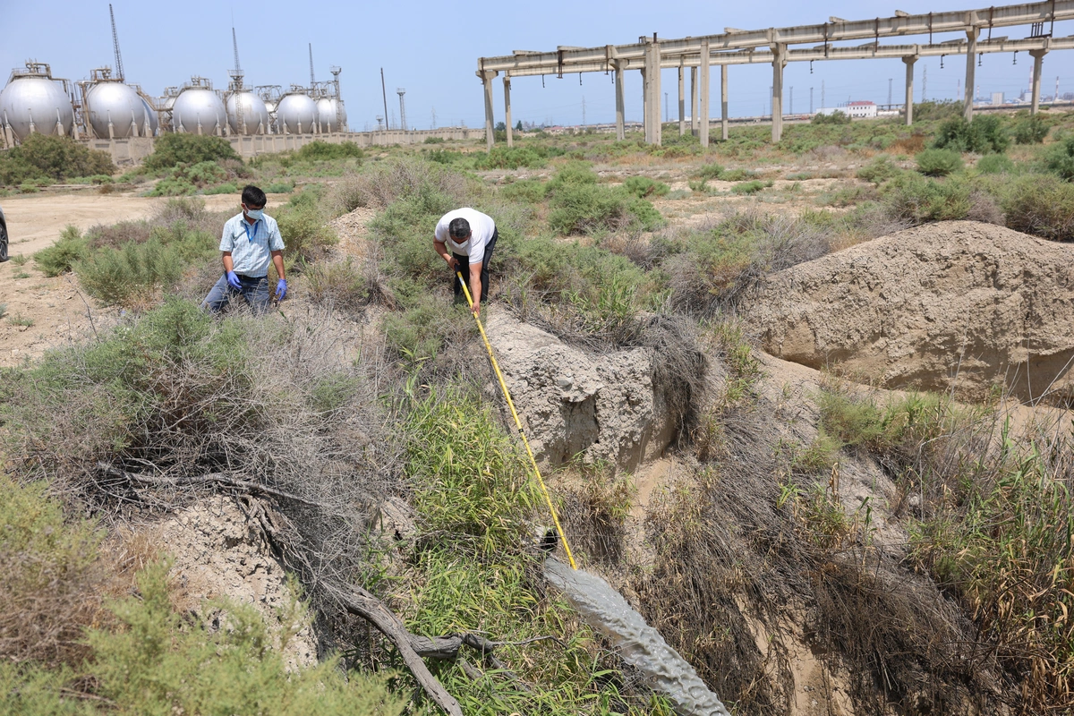 “Azərsun Holdinq”ə məxsus müəssisə ilə bağlı inzibati araşdırma başladıldı