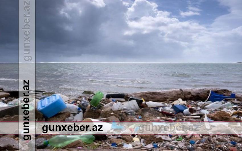 Sahilboyu əraziləri çirkləndirən 14 nəfər barəsində inzibati tədbirlər görülüb