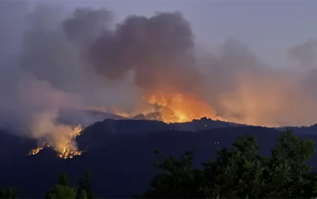 Lerikdəki yanğınların səbəbkarı onlar imiş – Biri uşaqdır+Rəsmi