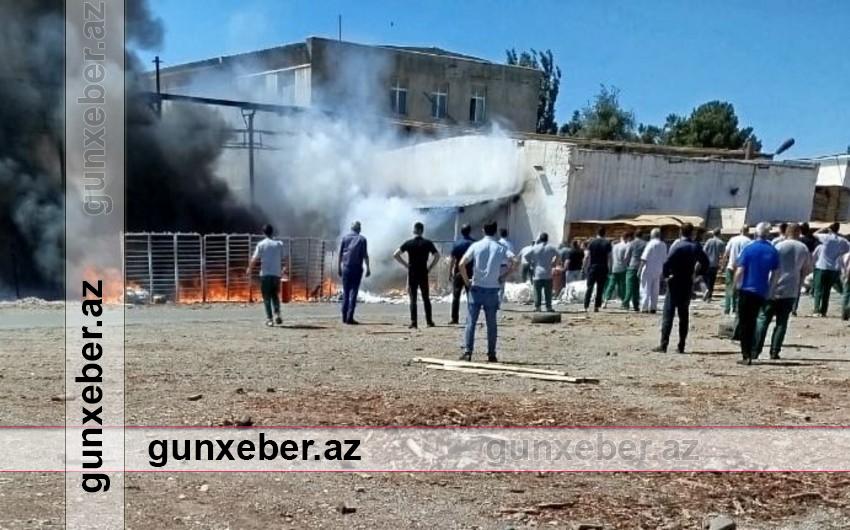 Sumqayıtda mebel fabrikinin süngər anbarı tamamilə yanıb