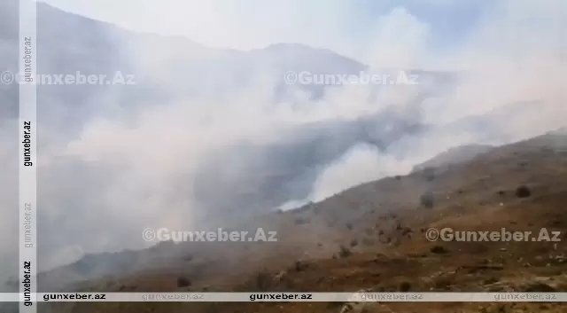 İsmayıllının dağlıq ərazilərində yanğın baş verib