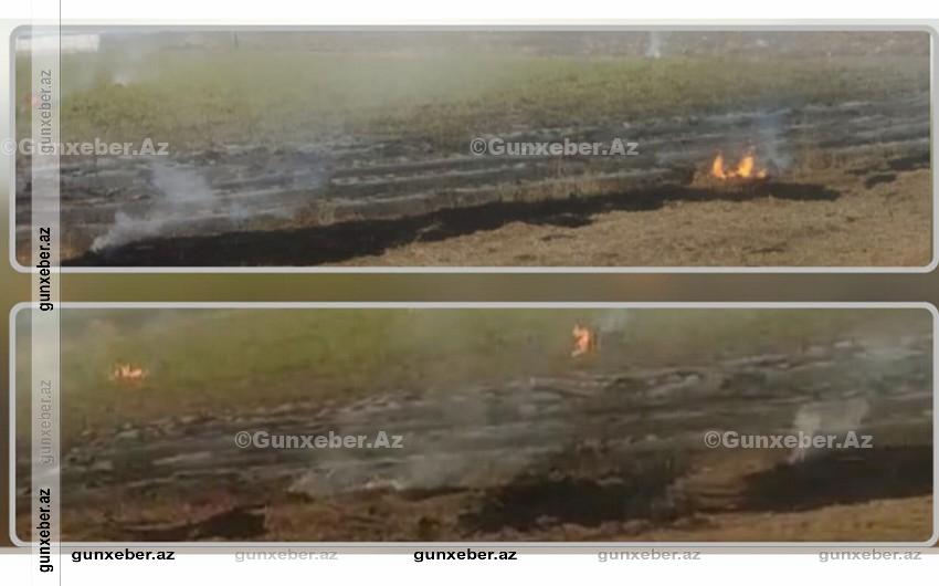 Cəlilabadda yanğın törədən şəxslər məsuliyyətə cəlb olunublar