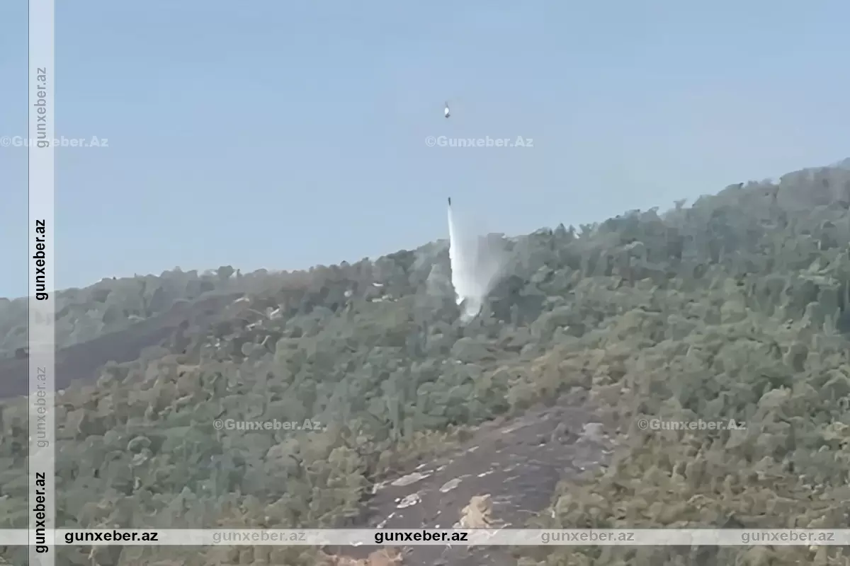 FHN Qazaxdakı yanğınla bağlı məlumat yayıb