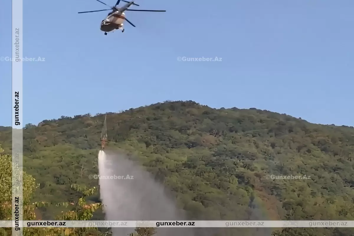 Qazaxda 80 hektar ərazi yanıb