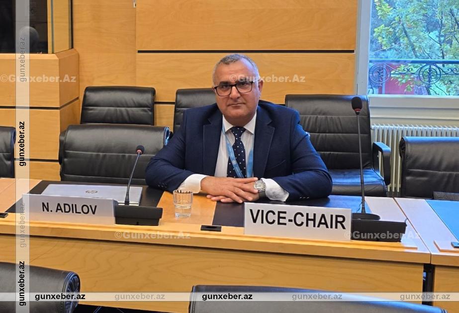 Azərbaycan nümayəndəsi BMT-nin İqtisadi, sosial və mədəni hüquqlar komitəsinin sədr müavini seçilib