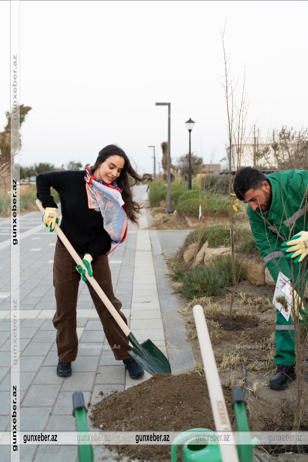 “Sea Breeze” nar ağaclarının əkilməsi ənənəsini davam etdirir
