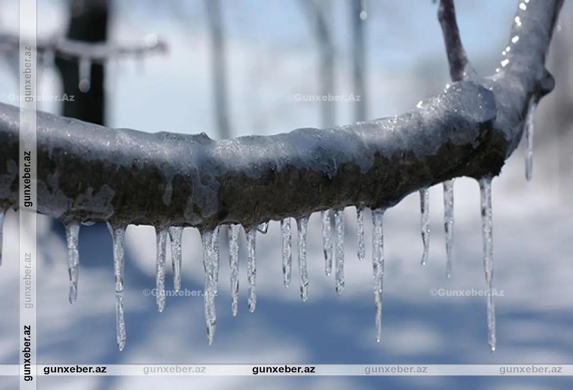 Ölkə ərazisində doqquz dərəcəyədək şaxta qeydə alınıb – FAKTİKİ HAVA