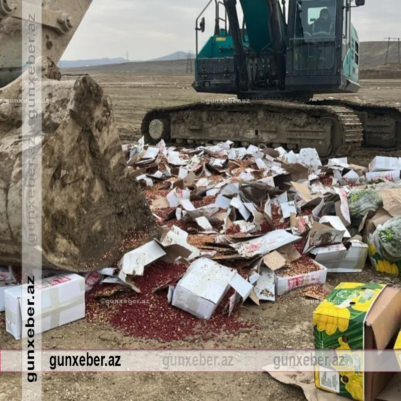 Uyğunsuzluq aşkarlanan araxis məhsulunun satışa çıxarılmasının qarşısı alınıb