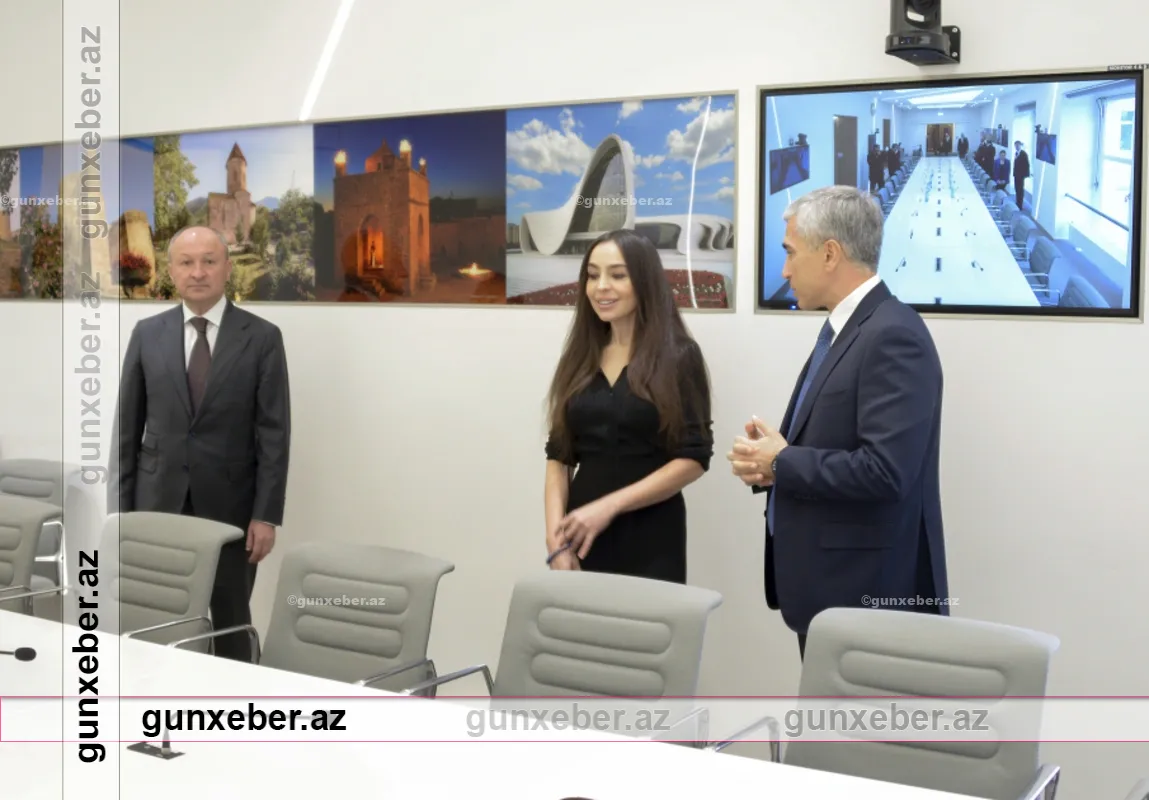 Leyla Əliyeva BMT-nin Cenevrə ofisində “Azərbaycan otağı” ilə tanış olub
