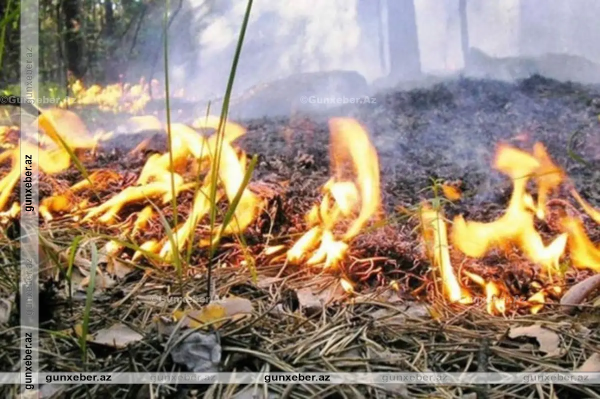Cəbrayıl ərazisində YANĞIN: Füzuli rayonunun kəndlərinə qədər yayılıb