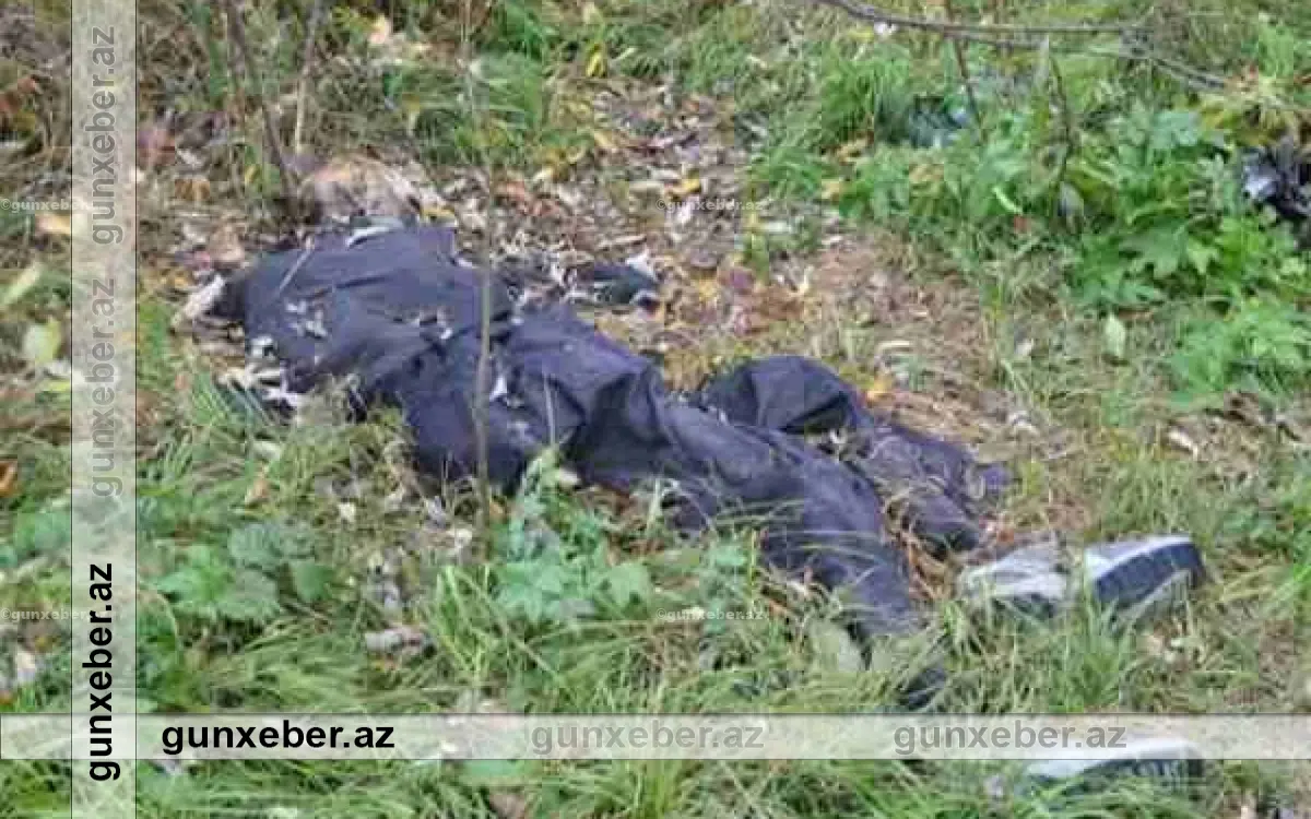 Şəmkirdə dərədən 56 yaşlı kişinin meyiti tapıldı: Oğlu qətldə şübhəli bilinir