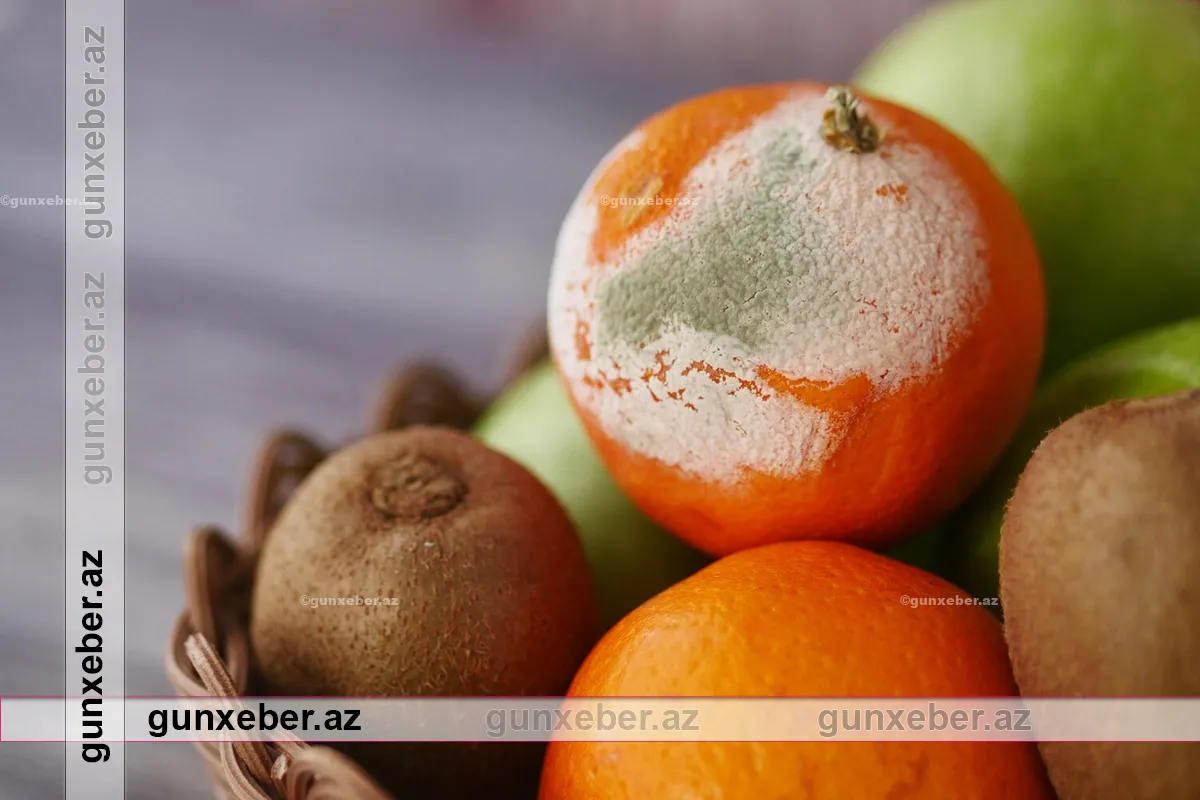 Meyvə-tərəvəz niyə tez xarab olur? – Mətbəxdə edilən ən yayğın səhv