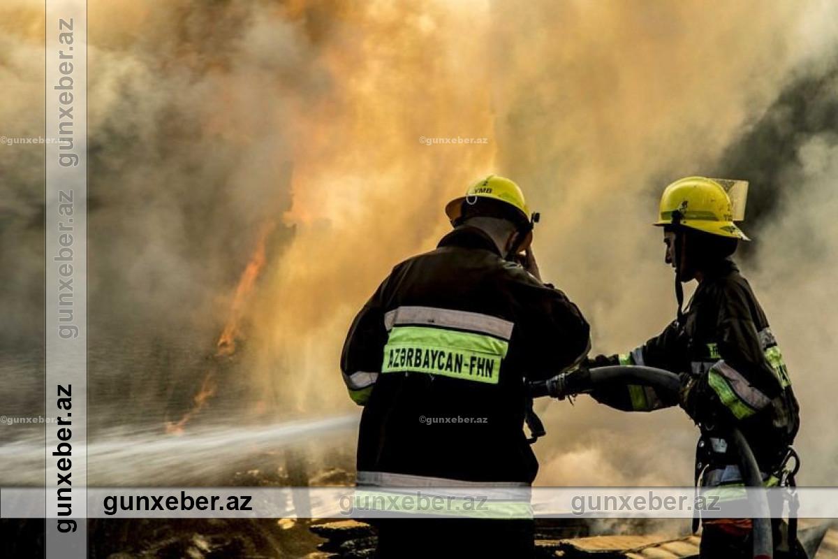 İsmayıllıda müəssisədə YANĞIN: Elektrik şiti alovlandı, xəsarət alan var