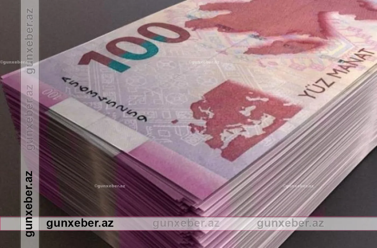 Dövlət agentliyində yoxlama aparılmasına 180 min manat xərclənəcək