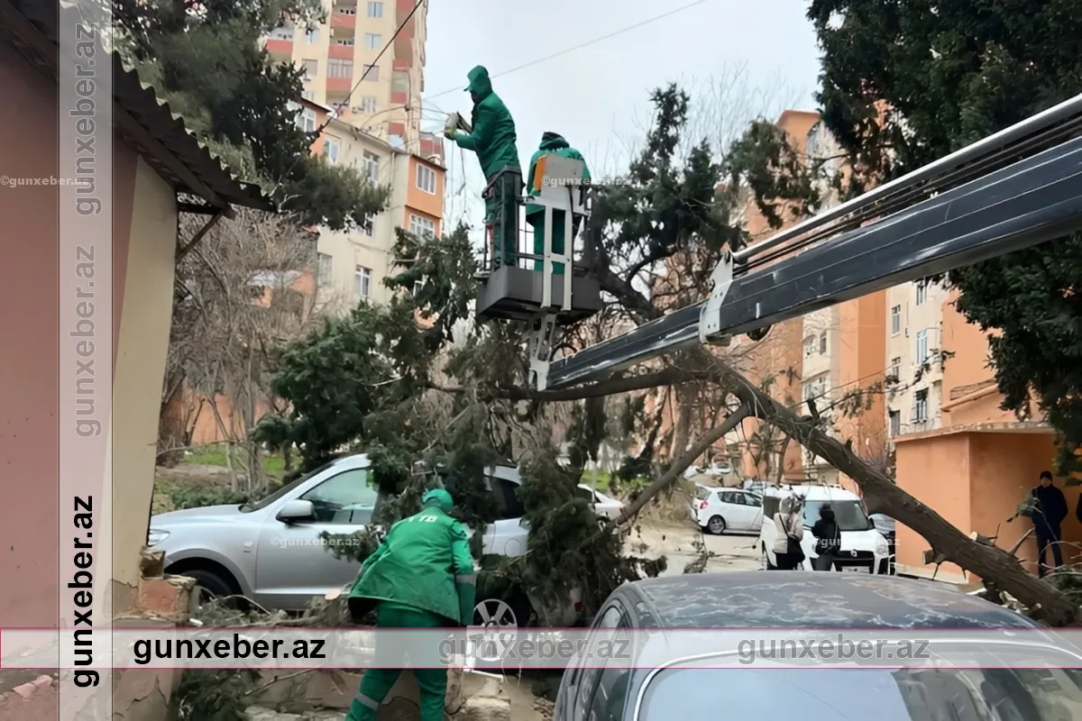 Güclü külək nə qədər maşın və evə ziyan vurub? – Ödənilən məbləğlər məlum oldu